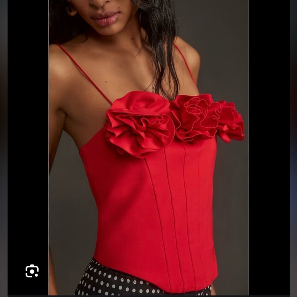 Sunday in Brooklyn by Anthropologie Red Floral Corset Top - Picture 2 of 7